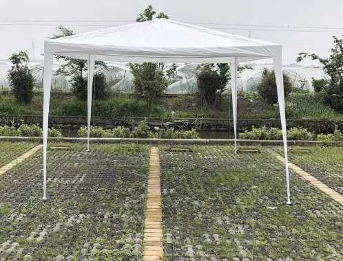 Шатер садовый CoolWalk 3030 3х3м без стенок