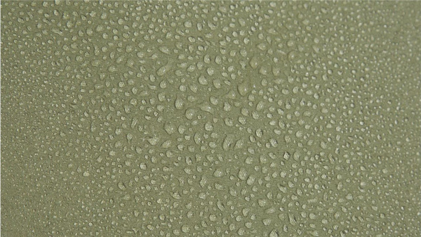 Палатка Outwell Bear Lake 4