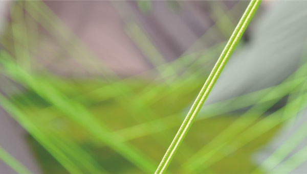 Палатка Outwell Phoenix 6